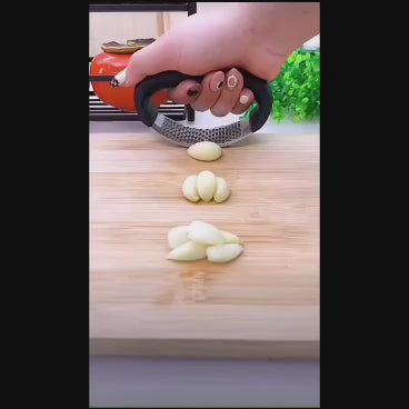 Premium Stainless Steel Garlic Press & Rocker Crusher